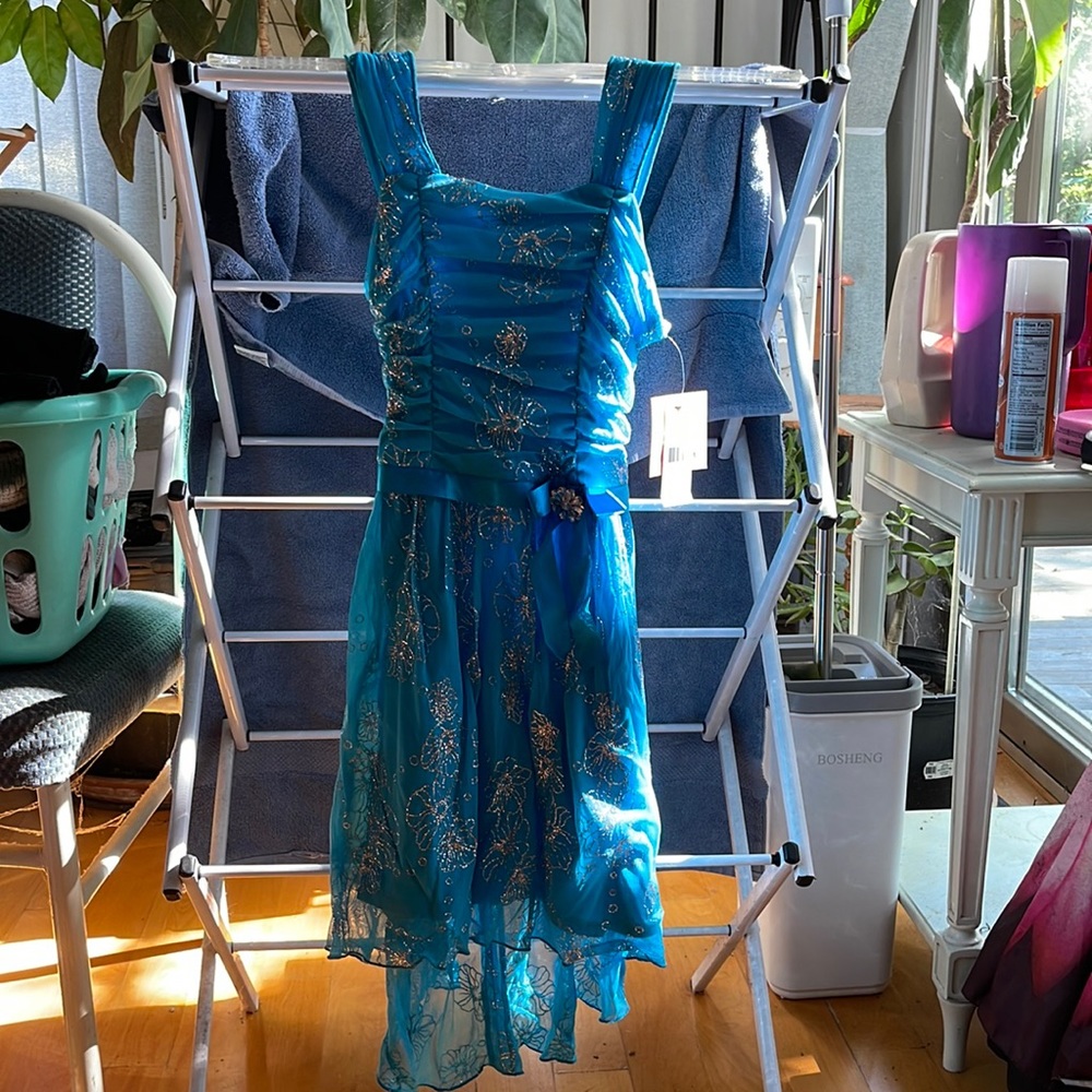 NEW Girls size 12 dress